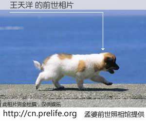 #孟婆前世照相馆# 【王天洋 的前世相片】我们都曾从奈何桥上走过，喝下三碗忘川之水烹煮的孟婆汤，忘却了前尘旧事。孟婆前世照相馆，保存着你前世的数码相片。王天洋 的前世相片，有图有真相：