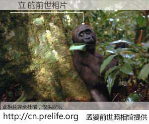 #孟婆前世照相馆# 【維立 的前世相片】我们都曾从奈何桥上走过，喝下三碗忘川之水烹煮的孟婆汤，忘却了前尘旧事。孟婆前世照相馆，保存着你前世的数码相片。維立 的前世相片，有图有真相：