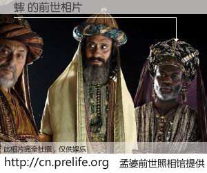 #孟婆前世照相馆# 【蟀 的前世相片】我们都曾从奈何桥上走过，喝下三碗忘川之水烹煮的孟婆汤，忘却了前尘旧事。孟婆前世照相馆，保存着你前世的数码相片。蟀 的前世相片，有图有真相：
