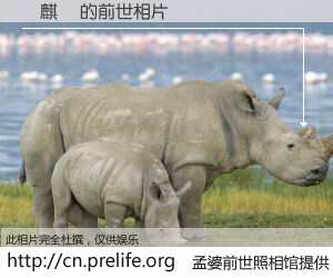 #孟婆前世照相馆# 【鄭麒傑 的前世相片】我们都曾从奈何桥上走过，喝下三碗忘川之水烹煮的孟婆汤，忘却了前尘旧事。孟婆前世照相馆，保存着你前世的数码相片。鄭麒傑 的前世相片，有图有真相：