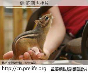 #孟婆前世照相馆# 【閭撳績绁 的前世相片】我们都曾从奈何桥上走过，喝下三碗忘川之水烹煮的孟婆汤，忘却了前尘旧事。孟婆前世照相馆，保存着你前世的数码相片。閭撳績绁 的前世相片，有图有真相：