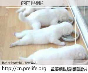 #孟婆前世照相馆# 【鐜嬪瘨 的前世相片】我们都曾从奈何桥上走过，喝下三碗忘川之水烹煮的孟婆汤，忘却了前尘旧事。孟婆前世照相馆，保存着你前世的数码相片。鐜嬪瘨 的前世相片，有图有真相：