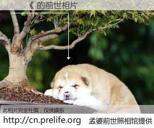 #孟婆前世照相馆# 【鑼冩《 的前世相片】我们都曾从奈何桥上走过，喝下三碗忘川之水烹煮的孟婆汤，忘却了前尘旧事。孟婆前世照相馆，保存着你前世的数码相片。鑼冩《 的前世相片，有图有真相：