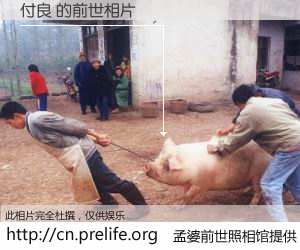 #孟婆前世照相馆# 【付良 的前世相片】我们都曾从奈何桥上走过，喝下三碗忘川之水烹煮的孟婆汤，忘却了前尘旧事。孟婆前世照相馆，保存着你前世的数码相片。付良 的前世相片，有图有真相：