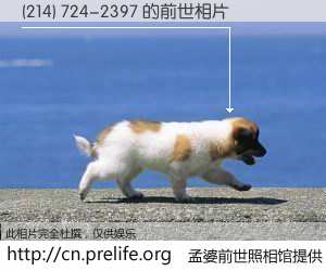 #孟婆前世照相馆# 【(214) 724-2397 的前世相片】我们都曾从奈何桥上走过，喝下三碗忘川之水烹煮的孟婆汤，忘却了前尘旧事。孟婆前世照相馆，保存着你前世的数码相片。(214) 724-2397 的前世相片，有图有真相：