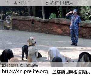 #孟婆前世照相馆# 【?��????����a 的前世相片】我们都曾从奈何桥上走过，喝下三碗忘川之水烹煮的孟婆汤，忘却了前尘旧事。孟婆前世照相馆，保存着你前世的数码相片。?��????����a 的前世相片，有图有真相：
