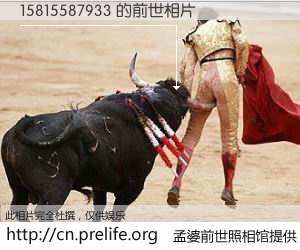 #孟婆前世照相馆# 【15815587933 的前世相片】我们都曾从奈何桥上走过，喝下三碗忘川之水烹煮的孟婆汤，忘却了前尘旧事。孟婆前世照相馆，保存着你前世的数码相片。15815587933 的前世相片，有图有真相：