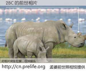 #孟婆前世照相馆# 【2BC 的前世相片】我们都曾从奈何桥上走过，喝下三碗忘川之水烹煮的孟婆汤，忘却了前尘旧事。孟婆前世照相馆，保存着你前世的数码相片。2BC 的前世相片，有图有真相：