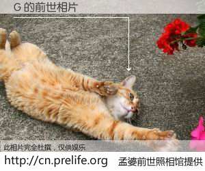 #孟婆前世照相馆# 【G 的前世相片】我们都曾从奈何桥上走过，喝下三碗忘川之水烹煮的孟婆汤，忘却了前尘旧事。孟婆前世照相馆，保存着你前世的数码相片。G 的前世相片，有图有真相：