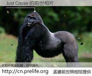 #孟婆前世照相馆# 【Just Cause 的前世相片】我们都曾从奈何桥上走过，喝下三碗忘川之水烹煮的孟婆汤，忘却了前尘旧事。孟婆前世照相馆，保存着你前世的数码相片。Just Cause 的前世相片，有图有真相：