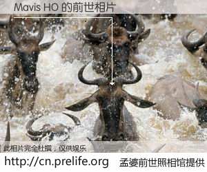 #孟婆前世照相馆# 【Mavis HO 的前世相片】我们都曾从奈何桥上走过，喝下三碗忘川之水烹煮的孟婆汤，忘却了前尘旧事。孟婆前世照相馆，保存着你前世的数码相片。Mavis HO 的前世相片，有图有真相：