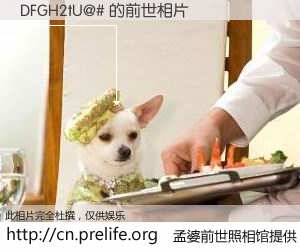 #孟婆前世照相馆# 【DFGH2tU@# 的前世相片】我们都曾从奈何桥上走过，喝下三碗忘川之水烹煮的孟婆汤，忘却了前尘旧事。孟婆前世照相馆，保存着你前世的数码相片。DFGH2tU@# 的前世相片，有图有真相：
