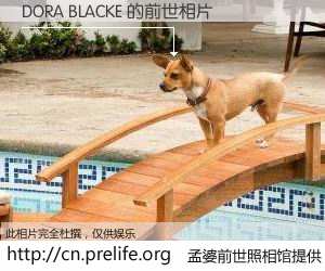 #孟婆前世照相馆# 【DORA BLACKE 的前世相片】我们都曾从奈何桥上走过，喝下三碗忘川之水烹煮的孟婆汤，忘却了前尘旧事。孟婆前世照相馆，保存着你前世的数码相片。DORA BLACKE 的前世相片，有图有真相：
