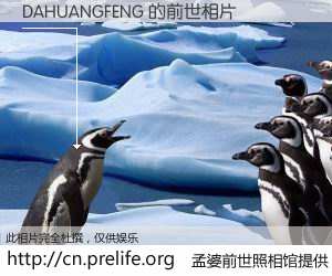 #孟婆前世照相馆# 【DAHUANGFENG 的前世相片】我们都曾从奈何桥上走过，喝下三碗忘川之水烹煮的孟婆汤，忘却了前尘旧事。孟婆前世照相馆，保存着你前世的数码相片。DAHUANGFENG 的前世相片，有图有真相：