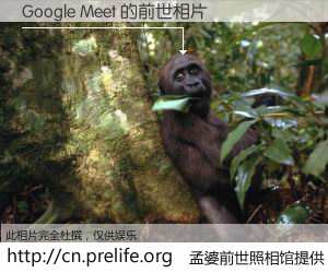 #孟婆前世照相馆# 【Google Meet 的前世相片】我们都曾从奈何桥上走过，喝下三碗忘川之水烹煮的孟婆汤，忘却了前尘旧事。孟婆前世照相馆，保存着你前世的数码相片。Google Meet 的前世相片，有图有真相：