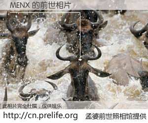 #孟婆前世照相馆# 【MENX 的前世相片】我们都曾从奈何桥上走过，喝下三碗忘川之水烹煮的孟婆汤，忘却了前尘旧事。孟婆前世照相馆，保存着你前世的数码相片。MENX 的前世相片，有图有真相：