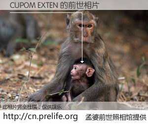 #孟婆前世照相馆# 【CUPOM EXTEN 的前世相片】我们都曾从奈何桥上走过，喝下三碗忘川之水烹煮的孟婆汤，忘却了前尘旧事。孟婆前世照相馆，保存着你前世的数码相片。CUPOM EXTEN 的前世相片，有图有真相：