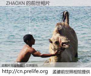 #孟婆前世照相馆# 【ZHAOXN 的前世相片】我们都曾从奈何桥上走过，喝下三碗忘川之水烹煮的孟婆汤，忘却了前尘旧事。孟婆前世照相馆，保存着你前世的数码相片。ZHAOXN 的前世相片，有图有真相：