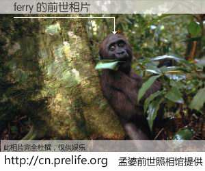 #孟婆前世照相馆# 【ferry 的前世相片】我们都曾从奈何桥上走过，喝下三碗忘川之水烹煮的孟婆汤，忘却了前尘旧事。孟婆前世照相馆，保存着你前世的数码相片。ferry 的前世相片，有图有真相：