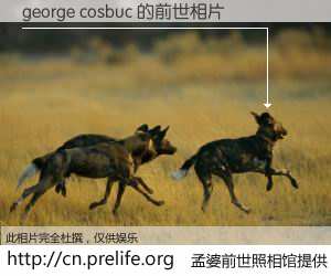 #孟婆前世照相馆# 【george cosbuc 的前世相片】我们都曾从奈何桥上走过，喝下三碗忘川之水烹煮的孟婆汤，忘却了前尘旧事。孟婆前世照相馆，保存着你前世的数码相片。george cosbuc 的前世相片，有图有真相：