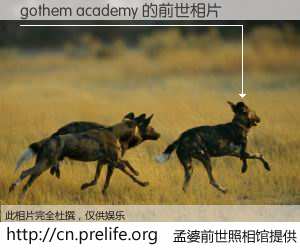 #孟婆前世照相馆# 【gothem academy 的前世相片】我们都曾从奈何桥上走过，喝下三碗忘川之水烹煮的孟婆汤，忘却了前尘旧事。孟婆前世照相馆，保存着你前世的数码相片。gothem academy 的前世相片，有图有真相：
