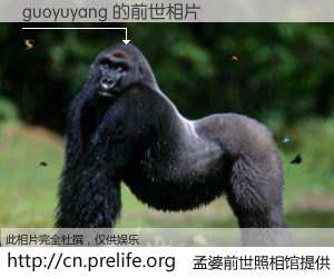 #孟婆前世照相馆# 【guoyuyang 的前世相片】我们都曾从奈何桥上走过，喝下三碗忘川之水烹煮的孟婆汤，忘却了前尘旧事。孟婆前世照相馆，保存着你前世的数码相片。guoyuyang 的前世相片，有图有真相：