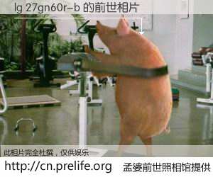 #孟婆前世照相馆# 【lg 27gn60r-b 的前世相片】我们都曾从奈何桥上走过，喝下三碗忘川之水烹煮的孟婆汤，忘却了前尘旧事。孟婆前世照相馆，保存着你前世的数码相片。lg 27gn60r-b 的前世相片，有图有真相：