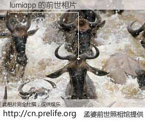 #孟婆前世照相馆# 【lumiapp 的前世相片】我们都曾从奈何桥上走过，喝下三碗忘川之水烹煮的孟婆汤，忘却了前尘旧事。孟婆前世照相馆，保存着你前世的数码相片。lumiapp 的前世相片，有图有真相：