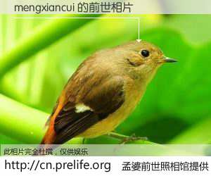 #孟婆前世照相馆# 【mengxiancui 的前世相片】我们都曾从奈何桥上走过，喝下三碗忘川之水烹煮的孟婆汤，忘却了前尘旧事。孟婆前世照相馆，保存着你前世的数码相片。mengxiancui 的前世相片，有图有真相：