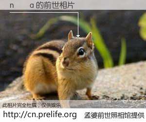 #孟婆前世照相馆# 【n鈥唊a 的前世相片】我们都曾从奈何桥上走过，喝下三碗忘川之水烹煮的孟婆汤，忘却了前尘旧事。孟婆前世照相馆，保存着你前世的数码相片。n鈥唊a 的前世相片，有图有真相：