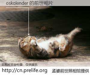 #孟婆前世照相馆# 【oskalender 的前世相片】我们都曾从奈何桥上走过，喝下三碗忘川之水烹煮的孟婆汤，忘却了前尘旧事。孟婆前世照相馆，保存着你前世的数码相片。oskalender 的前世相片，有图有真相：