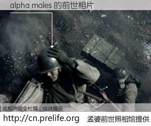 #孟婆前世照相馆# 【alpha males 的前世相片】我们都曾从奈何桥上走过，喝下三碗忘川之水烹煮的孟婆汤，忘却了前尘旧事。孟婆前世照相馆，保存着你前世的数码相片。alpha males 的前世相片，有图有真相：
