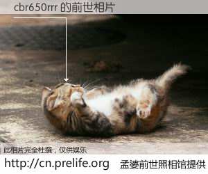 #孟婆前世照相馆# 【cbr650rrr 的前世相片】我们都曾从奈何桥上走过，喝下三碗忘川之水烹煮的孟婆汤，忘却了前尘旧事。孟婆前世照相馆，保存着你前世的数码相片。cbr650rrr 的前世相片，有图有真相：