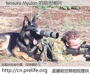 #孟婆前世照相馆# 【tensura Myulan 的前世相片】我们都曾从奈何桥上走过，喝下三碗忘川之水烹煮的孟婆汤，忘却了前尘旧事。孟婆前世照相馆，保存着你前世的数码相片。tensura Myulan 的前世相片，有图有真相：