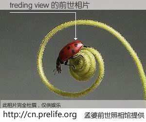 #孟婆前世照相馆# 【treding view 的前世相片】我们都曾从奈何桥上走过，喝下三碗忘川之水烹煮的孟婆汤，忘却了前尘旧事。孟婆前世照相馆，保存着你前世的数码相片。treding view 的前世相片，有图有真相：