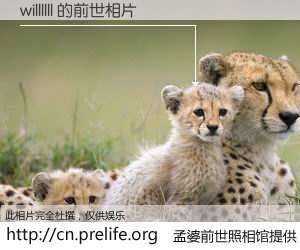 #孟婆前世照相馆# 【willllll 的前世相片】我们都曾从奈何桥上走过,喝下三碗忘川之水烹煮的孟婆汤,忘却了前尘旧事。孟婆前世照相馆,保存着你前世的数码相片。willllll 的前世相片,有图有真相: