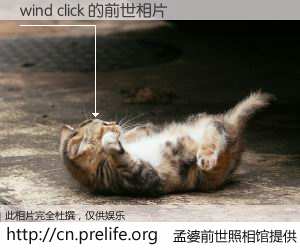 #孟婆前世照相馆# 【wind click 的前世相片】我们都曾从奈何桥上走过，喝下三碗忘川之水烹煮的孟婆汤，忘却了前尘旧事。孟婆前世照相馆，保存着你前世的数码相片。wind click 的前世相片，有图有真相：