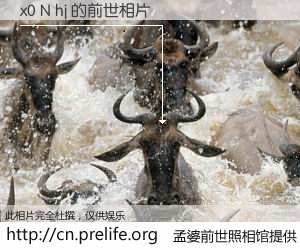 #孟婆前世照相馆# 【x0 N hj 的前世相片】我们都曾从奈何桥上走过，喝下三碗忘川之水烹煮的孟婆汤，忘却了前尘旧事。孟婆前世照相馆，保存着你前世的数码相片。x0 N hj 的前世相片，有图有真相：