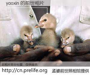 #孟婆前世照相馆# 【yaoxin 的前世相片】我们都曾从奈何桥上走过，喝下三碗忘川之水烹煮的孟婆汤，忘却了前尘旧事。孟婆前世照相馆，保存着你前世的数码相片。yaoxin 的前世相片，有图有真相：