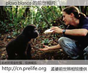 #孟婆前世照相馆# 【playa blanca 的前世相片】我们都曾从奈何桥上走过，喝下三碗忘川之水烹煮的孟婆汤，忘却了前尘旧事。孟婆前世照相馆，保存着你前世的数码相片。playa blanca 的前世相片，有图有真相：