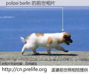 #孟婆前世照相馆# 【polizei berlin 的前世相片】我们都曾从奈何桥上走过,喝下三碗忘川之水烹煮的孟婆汤,忘却了前尘旧事。孟婆前世照相馆,保存着你前世的数码相片。polizei berlin 的前世相片,有图有真相: