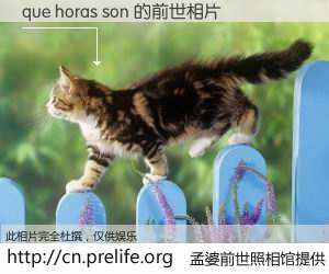 #孟婆前世照相馆# 【que horas son 的前世相片】我们都曾从奈何桥上走过，喝下三碗忘川之水烹煮的孟婆汤，忘却了前尘旧事。孟婆前世照相馆，保存着你前世的数码相片。que horas son 的前世相片，有图有真相：