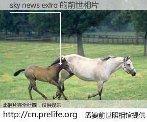 #孟婆前世照相馆# 【sky news extra 的前世相片】我们都曾从奈何桥上走过，喝下三碗忘川之水烹煮的孟婆汤，忘却了前尘旧事。孟婆前世照相馆，保存着你前世的数码相片。sky news extra 的前世相片，有图有真相：