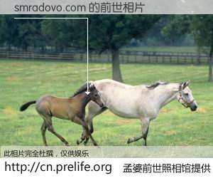 #孟婆前世照相馆# 【smradovo.com 的前世相片】我们都曾从奈何桥上走过，喝下三碗忘川之水烹煮的孟婆汤，忘却了前尘旧事。孟婆前世照相馆，保存着你前世的数码相片。smradovo.com 的前世相片，有图有真相：
