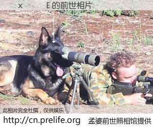 #孟婆前世照相馆# 【�x���E 的前世相片】我们都曾从奈何桥上走过，喝下三碗忘川之水烹煮的孟婆汤，忘却了前尘旧事。孟婆前世照相馆，保存着你前世的数码相片。�x���E 的前世相片，有图有真相：