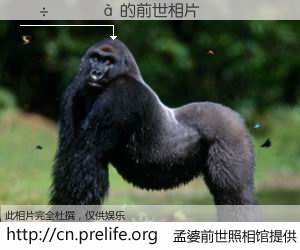 #孟婆前世照相馆# 【������ 的前世相片】我们都曾从奈何桥上走过，喝下三碗忘川之水烹煮的孟婆汤，忘却了前尘旧事。孟婆前世照相馆，保存着你前世的数码相片。������ 的前世相片，有图有真相：