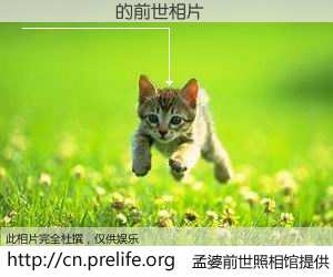 #孟婆前世照相馆# 【Ī��� 的前世相片】我们都曾从奈何桥上走过，喝下三碗忘川之水烹煮的孟婆汤，忘却了前尘旧事。孟婆前世照相馆，保存着你前世的数码相片。Ī��� 的前世相片，有图有真相：