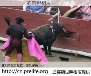 #孟婆前世照相馆# 【��� 的前世相片】我们都曾从奈何桥上走过，喝下三碗忘川之水烹煮的孟婆汤，忘却了前尘旧事。孟婆前世照相馆，保存着你前世的数码相片。��� 的前世相片，有图有真相：