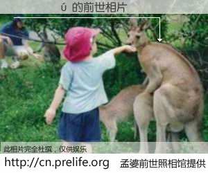 #孟婆前世照相馆# 【��ʤ�� 的前世相片】我们都曾从奈何桥上走过，喝下三碗忘川之水烹煮的孟婆汤，忘却了前尘旧事。孟婆前世照相馆，保存着你前世的数码相片。��ʤ�� 的前世相片，有图有真相：