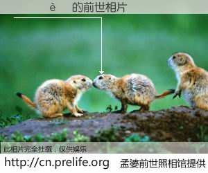 #孟婆前世照相馆# 【����Ƽ 的前世相片】我们都曾从奈何桥上走过，喝下三碗忘川之水烹煮的孟婆汤，忘却了前尘旧事。孟婆前世照相馆，保存着你前世的数码相片。����Ƽ 的前世相片，有图有真相：